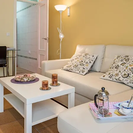 Apartamento Surthy San Miguel *